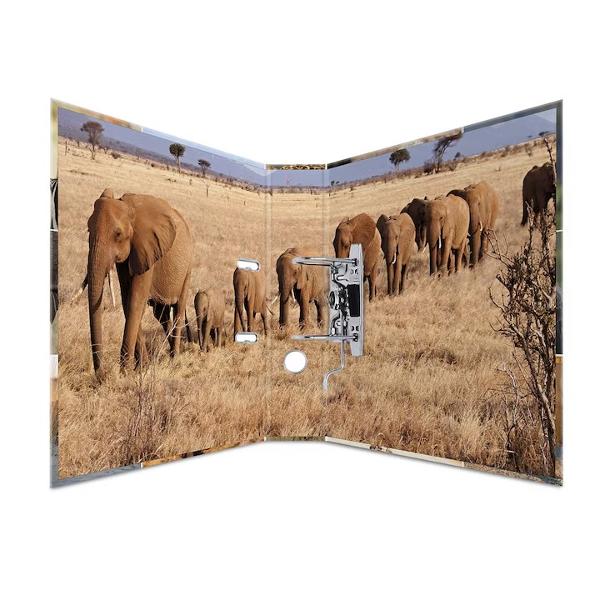 Biblioraft A4 plastifiat 7 cm AFRICA HERMA H7168&nbsp;&nbsp;