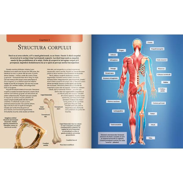Lucrarea bazat&259; pe cercet&259;ri meticuloase aduce laolalt&259; cele mai noi informa&539;ii &537;tiin&539;ifice idei impresionante &537;i fotografii medicale uluitoare pentru a oferi o 