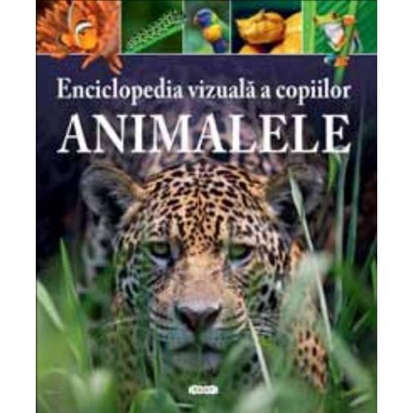 Citind aceast&259; enciclopedie vizual&259; copilul dumneavoastr&259; va afla am&259;nunte interesante despre regnul animal Cartea cuprinde informa&539;ii captivante despre p&259;s&259;ri &537;i mamifere reptile &537;i amfibieni animale marine &537;i vie&539;uitoare minuscule Enciclopedia îmbin&259; cu precizie &537;i claritate cuno&537;tin&539;ele cele mai recente în domeniu cu date impresionante Minunile naturii prind via&539;&259; datorit&259; 