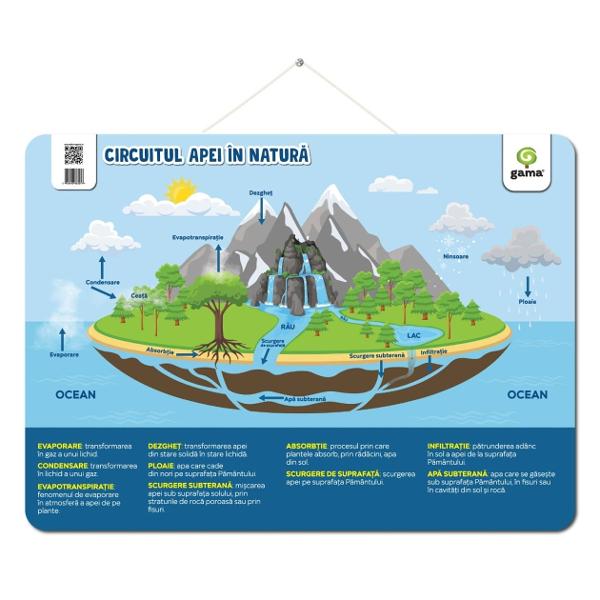 Potrivite at&acirc;t la &537;coal&259; c&acirc;t &537;i acas&259; aceste postere vor &icirc;mbog&259;&539;i at&acirc;t cuno&537;tin&539;ele c&acirc;t &537;i decorul clasei sau al camerei copiluluiFiecare poster are col&539;urile rotunjite &537;i o ag&259;&539;&259;toare