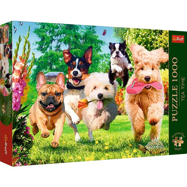 Un puzzle de calitate trebuie sa fie relaxant si distractiv Aranjarea unui puzzle constitue atat pentru copii cat si pentru adulti este o modalitate deosebita de dezvoltare a indemanarii spiritului de observatie si a concentrarii Trefl este o companie poloneza cu sediul central in regiunea Pomorze Incepand din 1985 compania a inceput sa produca puzzle-uri dezvolatand ulterior si segmentul de carti de joc si jocuri de societate In prezent Trefl este lider in Polonia si plina expansiune in 
