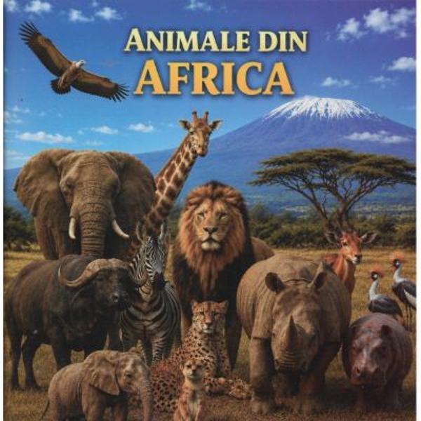 Animale din Africa