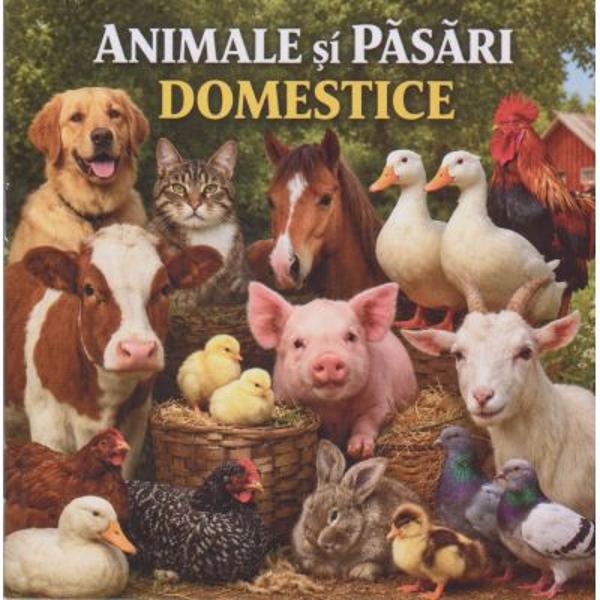 Animale si pasari domestice