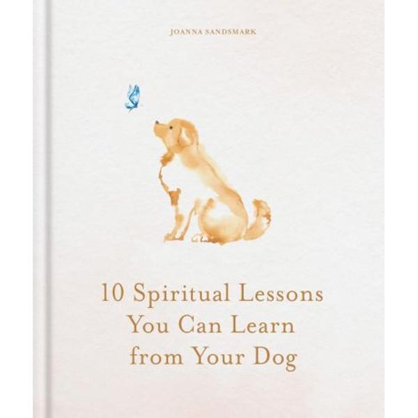 10 Spiritual Lessons You Can Learn from Your Dog Essential Life Lessons We Can Learn From Our Furry Friend&nbsp;