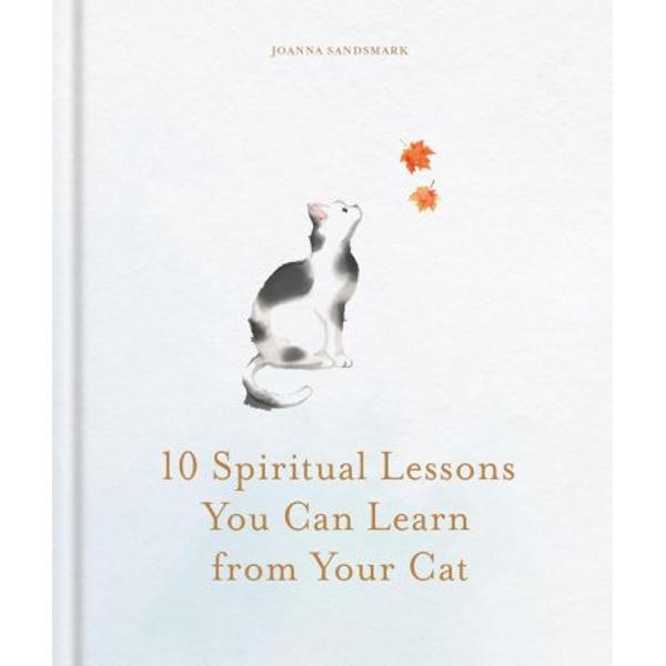 10 Spiritual Lessons You Can Learn from Your Cat Essential Life Lessons We Can Learn From Our Furry Friend&nbsp;
