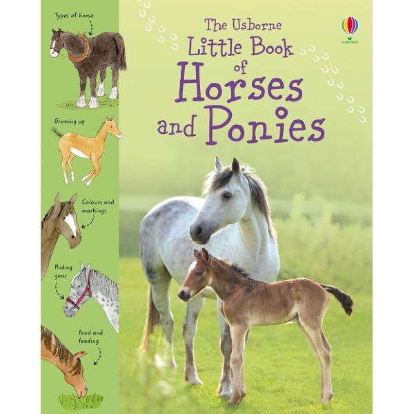 A fascinating little book about horses and ponies packed with interesting facts and charming illustrations Includes information on how horses grow up behave and communicate as well as their place in history and todays society With internet links to fun websites to find out more&nbsp;