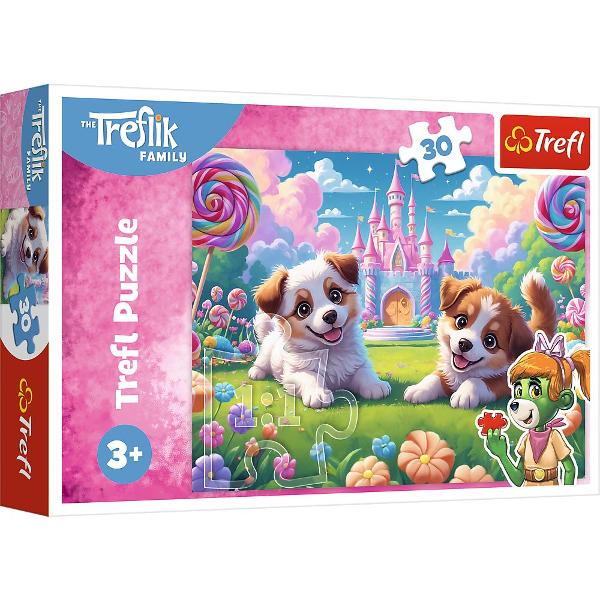 Un puzzle de calitate trebuie sa fie relaxant si distractiv Aranjarea unui puzzle  este o modalitate deosebita de dezvoltare a indemanarii spiritului de observatie si a concentrarii Trefl este o companie poloneza cu sediul central in regiunea Pomorze Incepand din 1985 compania a inceput sa produca puzzle-uri dezvolatand ulterior si segmentul de carti de joc si jocuri de societate In prezent Trefl este lider in Polonia si plina expansiune in Europa Produsele Trefl sunt apreciate peste 