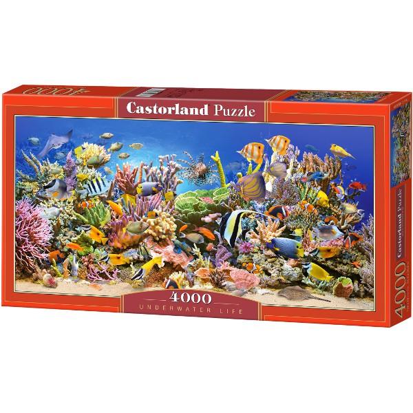  Numar de piese 4000Dimensiune puzzle asamblat 138 x 68