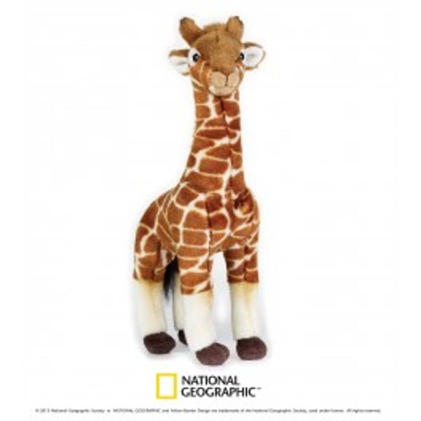 Jucarie din plus National Geografic Girafa 35 cmGirafa este cea mai inalta din toate speciile de animale Masculii pot avea 48 - 55 m inaltime si o greutate de 900kg Numele ei provine din araba si inseamnacea mai inalta dintre toateSuprafata este lavabilap 
