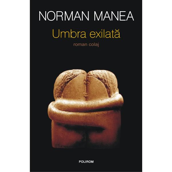 Un roman colaj despre un supravie&539;uitor al lag&259;relor din Transnistria despre existen&539;a sa ulterioar&259; într-o dictatur&259; comunist&259; &537;i exilul în America Dis-cursul narativ se desf&259;&537;oar&259; pe mai multe niveluri fiind poten&539;at cu un colaj de fragmente literare semnificative &537;i însemn&259;ri de lectur&259; despre identitate iubire &537;i literatur&259;Metafora Umbrei ca purt&259;toare a 