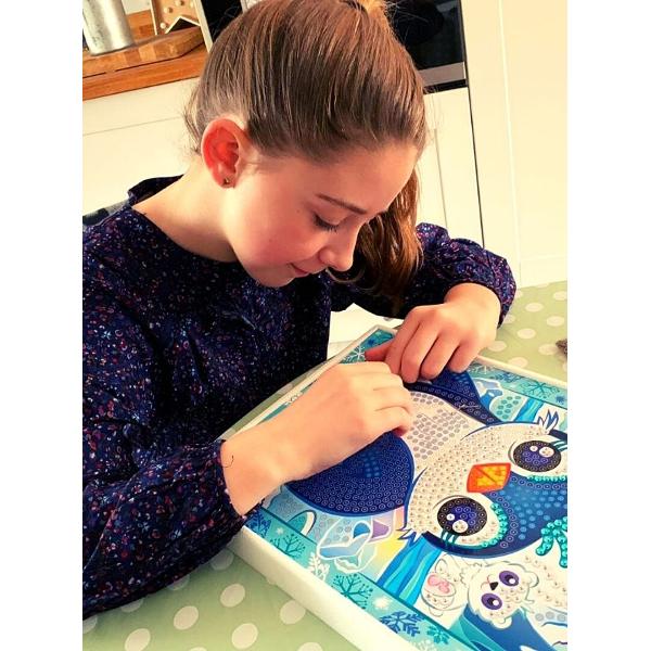 Seturile de creatie Sequin Art au devenit o tendinta populara de reducere a stresului pentru adulti si copii si cel mai important poate fi o activitate extrem de terapeutica Cu seturile de creatie Sequin Art nu trebuie sa ai aptitudini artistice ci doar sa ai rabdare si sa te distrezi Cu Sequin Art puteti sa creati o imagine sclipitoare cu ajutorul unor instructiuni usor de urmarit Fiecare design va produce o stralucire diferita in functie de iluminarea din camera Modelele Sequin Art 