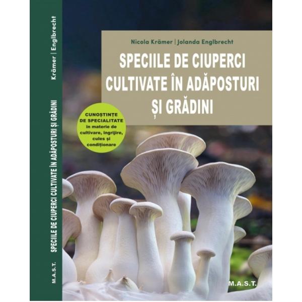 Speciile de ciuperci cultivate in adaposturi si gradini