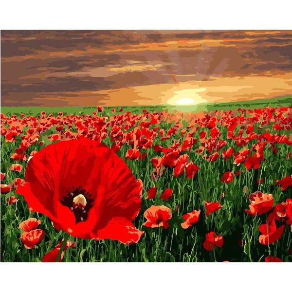 Set pictura pe numere panza Camp de maci rosii in amurg 40x50 cmDimensiuni 40 x 50 x 15 cmMaterial panza 70 poliester  30 bumbac vopseluri acriliceUrmareste pasii simpli ai pictarii pe numere si bucura-te de o experienta placuta Porneste intr-o noua aventura si creaza si tu acest tablou in culori calde cu titlul Camp de maci rosii in amurg 40x50 cm cu ajutorul materialelor incluse in acest set de pictura pe numere pentru adulti Totul este deja setat 