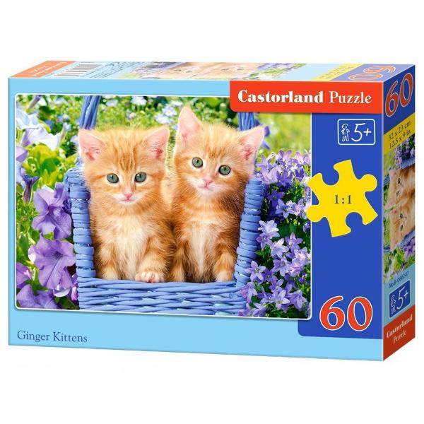 Puzzle de 60 de piese cu Ginger Kittens Dimensiuni cutie245×175×37 cm Dimensiune puzzle 32×23 cm Recomandat pentru persoanele cu varste peste 5 ani