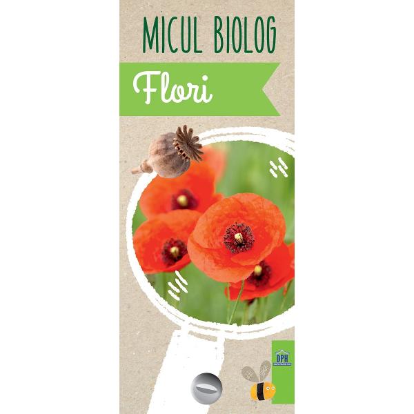 FloriSpecii de flori din &238;ntreaga lume cu denumirea popular&259; dar &351;i &351;tiin&355;ific&259; Unde le g&259;se&351;ti cum arat&259; frunzele florile perioada &238;nfloririi tipuri de fructe toate le descoperi cu ajutorul jetoanelorCu ajutorul jetoanelor din seria Micul biolog &238;nve&355;i &238;ntr-un mod pl&259;cut lucruri noi pe care apoi &238;&355;i vei dori s&259; le descoperi &238;n natur&259;