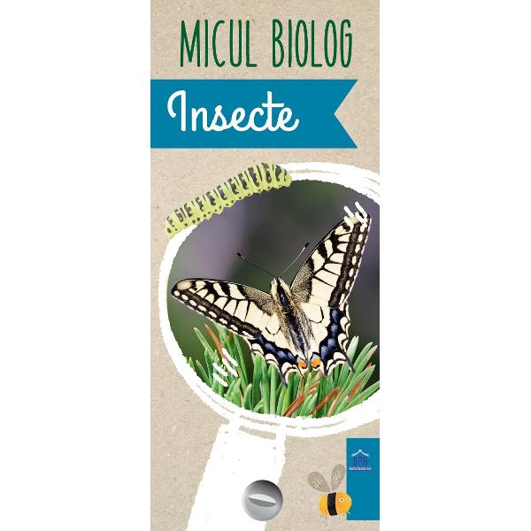 InsecteFluturi molii g&226;ndaci albine libelule etc sunt insecte pe care le-ai &238;nt&226;lnit &238;n natur&259; Dar ce &351;tii despre ele &350;tii unde tr&259;iesc cu ce se hr&259;nesc cum se dezvolt&259; ce fac &238;n perioada de iarn&259; Vei afla informa&355;ii deosebiteCu ajutorul jetoanelor din seria Micul biolog &238;nve&355;i &238;ntr-un mod pl&259;cut lucruri noi pe care apoi &238;&355;i vei dori s&259; le descoperi &238;n natur&259;