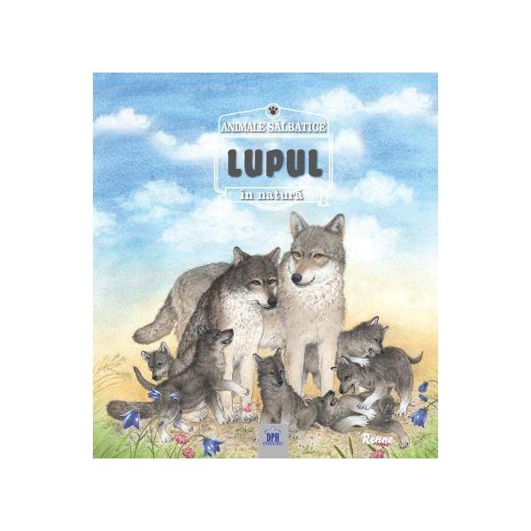 Lupul - Animale salbatice in natura