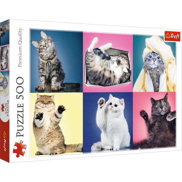 Un puzzle de calitate trebuie sa fie relaxant si distractiv Aranjarea unui puzzle constituie atat pentru copii cat si pentru adulti este o modalitate deosebita de dezvoltare a indemanarii spiritului de observatie si a concentrarii Trefl este o companie poloneza cu sediul central in regiunea Pomorze Incepand din 1985 compania a inceput sa produca puzzle-uri dezvoltand ulterior si segmentul de carti de joc si jocuri de societate In prezent Trefl este lider in Polonia si plina expansiune in 
