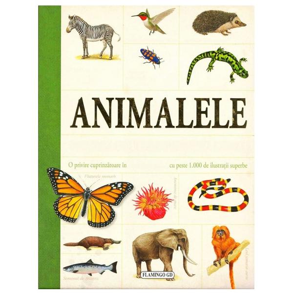 O privire cuprinzatoare in lumea animalelor cu peste 1000 de ilustratii superbe Enciclopedia de fata sursa valoroasa de informatii atat pentru scolari cat si pentru adulti se remarca prin forma succinta clara usor de citit si plina de ilustratii deosebite