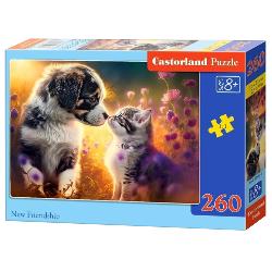 Puzzle de 260 piese cu New friendship Dimensiunea cutiei 245×175×37 cm Dimensiunea puzzle-ului 32×23 cm Recomadat pentru varste de la 8 ani