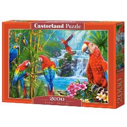 Puzzle de 2000 de piese cu Parrot Meeting Cutia are dimensiunile de 35×265×5 cm iar puzzle-ul are 92×68 cm Recomandat celor cu vârste de peste 9 ani