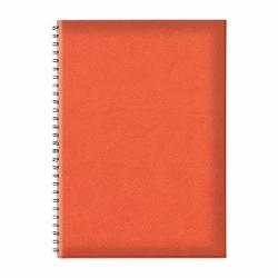 Agenda nedatata B5 TUCSON&nbsp;este partenerul ideal pentru organizarea eficienta a activitatilor zilnice Cu un design elegant si functional aceasta agenda este perfecta pentru utilizarea in mediul profesional sau personalFormat&nbsp;B5 176 x 25 cm - ofera suficient spatiu pentru notite detaliateHartie de calitate&nbsp;Hartie offset alba de 70 gmp asigura o scriere lina si 