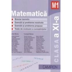 Matematica clasa a XI a - breviar teoretic