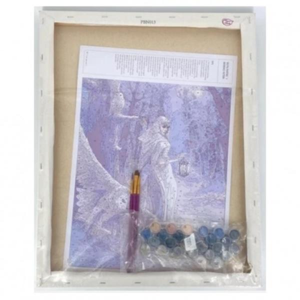 Set creativ de pictat Pictura pe numere Midnight Messenger Anne Stokes 40x50cm Craft Buddy