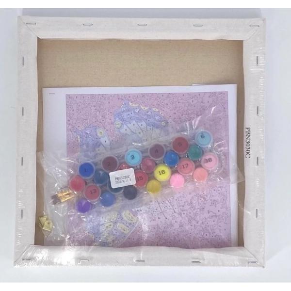 Set creativ de pictat Pictura pe numere Chage - Rachel Froud 30x30cm Craft Buddy