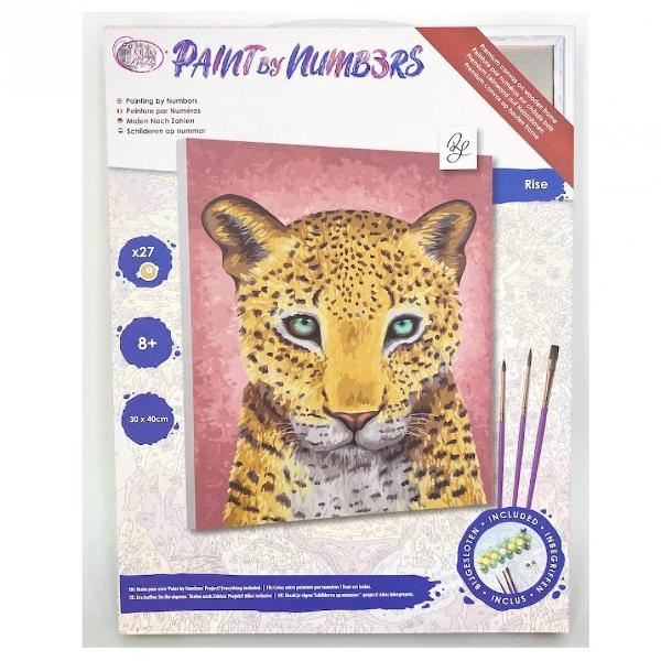 Set creativ de pictat Pictura pe numere Rise - Rachel Froud 30x40cm Craft Buddy