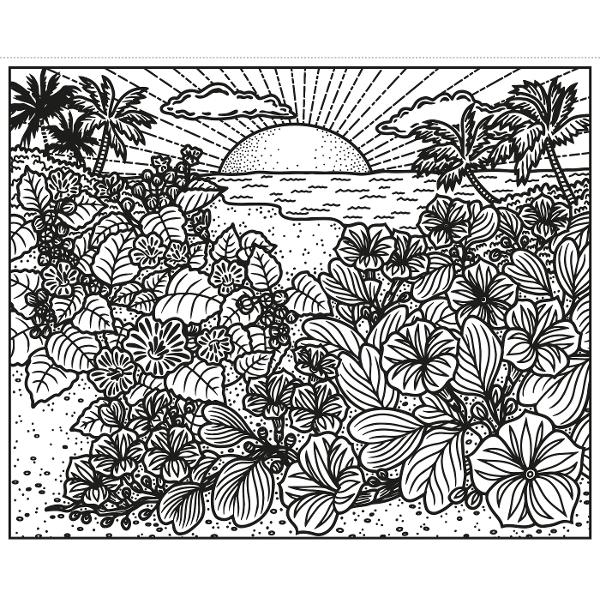 From flowers of hedgerow and prairie to desert blooms and rainforest orchids this book is bursting with beautiful wildflowers from different environments all around the world Meticulous research has gone into each image with the help of an expert from Kew Gardens to ensure that the flowers and settings are portrayed as naturalistically as possible Use the brush provided to sweep water over the designs and vibrant colours magically appear A mess-free way to keep children busy perfect 