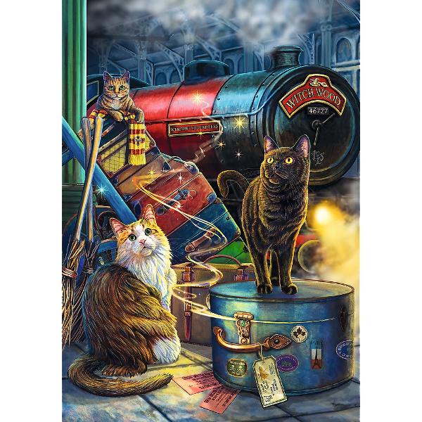 Un puzzle de calitate trebuie sa fie relaxant si distractiv Aranjarea unui puzzle constitue atat pentru copii cat si pentru adulti este o modalitate deosebita de dezvoltare a indemanarii spiritului de observatie si a concentrarii Trefl este o companie poloneza cu sediul central in regiunea Pomorze Incepand din 1985 compania a inceput sa produca puzzle-uri dezvolatand ulterior si segmentul de carti de joc si jocuri de societate In prezent Trefl este lider in Polonia si plina expansiune in 