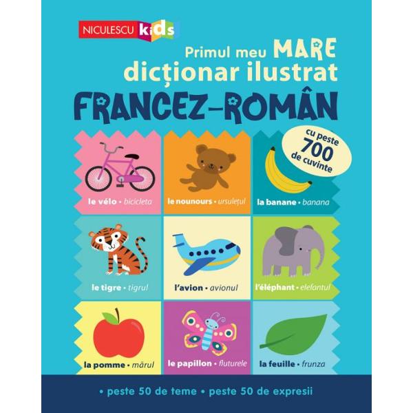 Un dic&539;ionar cuprinz&259;tor pentru copii care încep s&259; înve&539;e limba francez&259; Aceast&259; carte con&539;ine peste 700 de cuvinte &537;i expresii uzuale din francez&259; organizate pe diverse teme din via&539;a de zi cu zi Sintagmele de baz&259; &537;i informa&539;iile gramaticale esen&539;iale îi vor ajuta pe cei mai mici dintre cititori s&259;-&537;i 