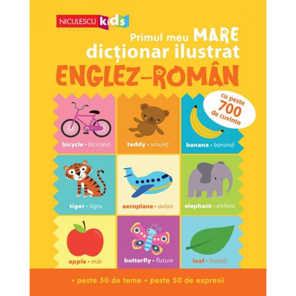 Un dic&539;ionar cuprinz&259;tor pentru copii care încep s&259; înve&539;e limba englez&259; Aceast&259; carte con&539;ine peste 700 de cuvinte &537;i expresii uzuale din englez&259; organizate pe diverse teme din via&539;a de zi cu zi Sintagmele de baz&259; &537;i informa&539;iile gramaticale esen&539;iale îi vor ajuta pe cei mai mici dintre cititori s&259;-&537;i 