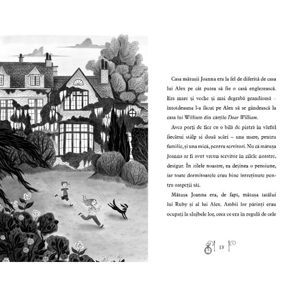 Alex &537;i Ruby descoper&259; o oglind&259; magic&259; &icirc;n casa m&259;tu&537;ii lor &537;i printr-o clipire de mister sunt purta&539;i &icirc;napoi &icirc;n timp &icirc;n epoca edwardian&259; Acolo devin parte dintr-o aventur&259; palpitant&259; plin&259; de pericole &537;i enigme &icirc;n care un ho&539; periculos trebuie prins pentru ca cei doi copii s&259; nu r&259;m&acirc;n&259; captivi &icirc;n trecut pentru totdeauna Povestea &icirc;mbin&259; elemente de 