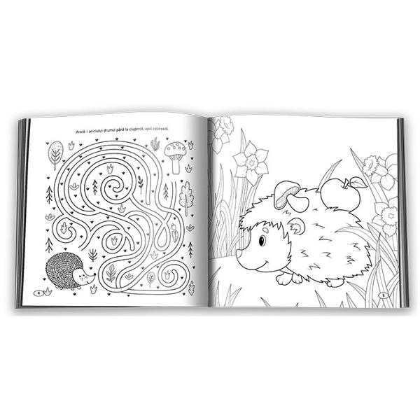 În Îmi place TOAMNA copilul va putea• s&259; g&259;seasc&259; diferen&539;e &537;i drumul corect;• s&259; numere &537;i s&259; completeze &537;iruri;