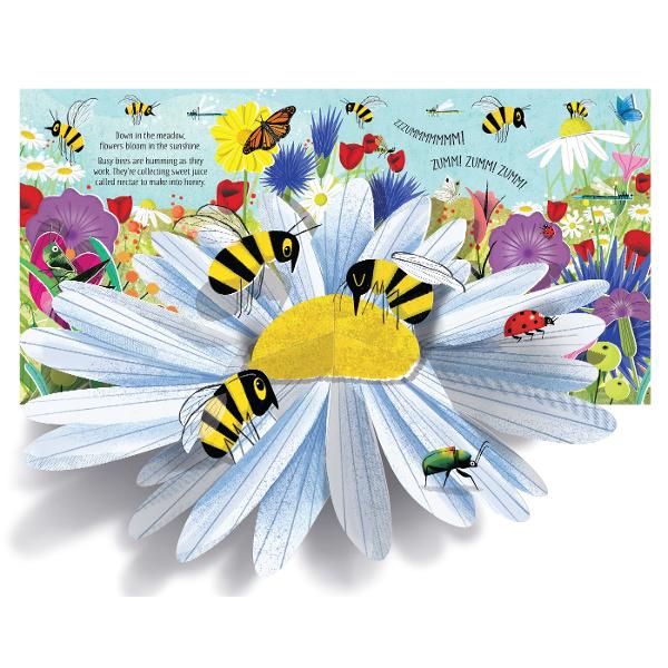 Take a closer look at nature in this wonderful pop-up book which brings a nature walk to life - springing out from the pages See a pop-up bees buzzing in the flowers a mouse in a blackberry bush and watch a moving woodpecker pecking and a frog swimming by in a pond A wonderful way to celebrate nature with little children With free online audio to listen to