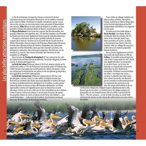 Si les Carpates nont pas la renomm&eacute;e des Alpes elles nen sont pas moins impressionnantes en nombre d&rsquo;endroits avec des sommets altiers des pr&eacute;cipices vertigineux des gorges des cascades et des grottes abritant des &eacute;cosystemes uniques au monde La beaut&eacute; sauvage des massifs du Retezat la montagne aux &laquo; yeux bleus &raquo; en raison de sa multitude de lacs glaciaires et de Piatra Craiului courb&eacute; comme une &eacute;chine de dinosaure vous 