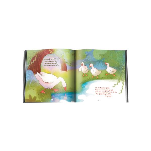 Povestea g&acirc;&537;telor descrie cu umor p&259;&539;ania unui g&acirc;scan z&259;p&259;cit &icirc;nv&259;&539;&acirc;ndu&8209;ne s&259; ne ajut&259;m unii pe ceilal&539;i &icirc;n timp ce Vine ploaia dezv&259;luie leg&259;turile dintre elementele naturii