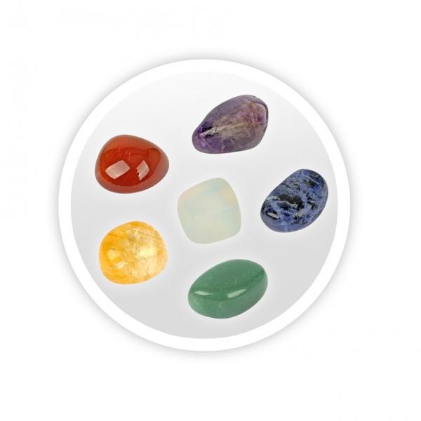 Folose&537;te uneltele pentru a s&259;pa &icirc;n planeta P&259;m&acirc;nt &537;i a descoperi 6 pietre reale ametist aventurin opal citrin soldalit si cornalinaInclude Globul Pamantesc din ipsos 6 pietre dalt&259; pensul&259; burete &537;i instruc&539;iuni colorateDimensiunile ambalajului 0950 x 0950 x 1330 cmVarsta recomandata 8 aniAvertismente Doar pentru copiii cu v&acirc;rsta de 8 ani &537;i peste ATEN&538;IE Nu este 