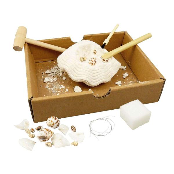 Foloseste uneltele pentru a sapa in blocul de gips si a descoperi scoicile din care iti poti apoi realiza o minunata brataraSetul include 1 bloc de gips 1 ciocanel 1 dalta 1 burete sfoara 1 tavaDimensiunile cutiei 148 x 5 x 19 cmVarsta recomandata 8 ani