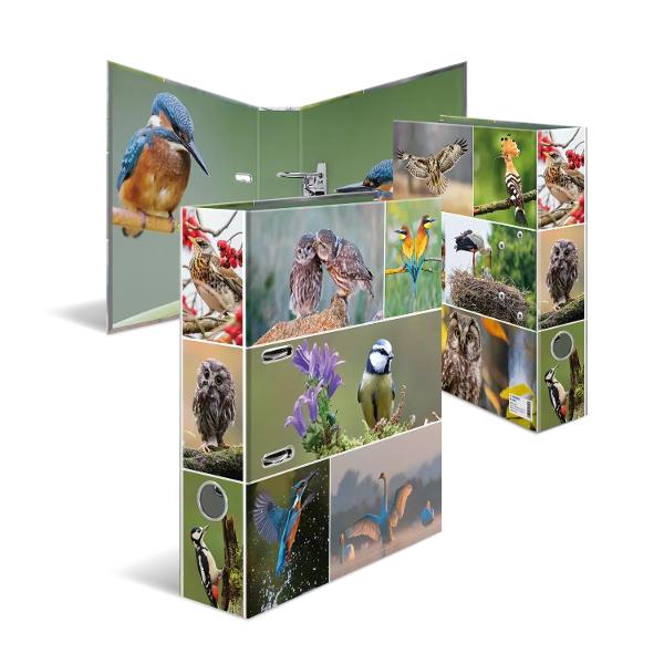 Biblioraft&nbsp;cu motive A4 cu fotografii frumoase ale p&259;s&259;rilor Fabricat din carton rezistent de &icirc;nalt&259; calitate cu orificiu pentru degetul mare &537;i mecanism cu p&acirc;rghie inclusiv bar&259; de compresor imprimat &icirc;n interior pentru depozitarea optim&259; a documentelor perforate &537;i buzunare transparente Pentru o ordine optim&259; acas&259; la &537;coal&259; la universitate sau la birou &537;i &icirc;n acela&537;i timp un 