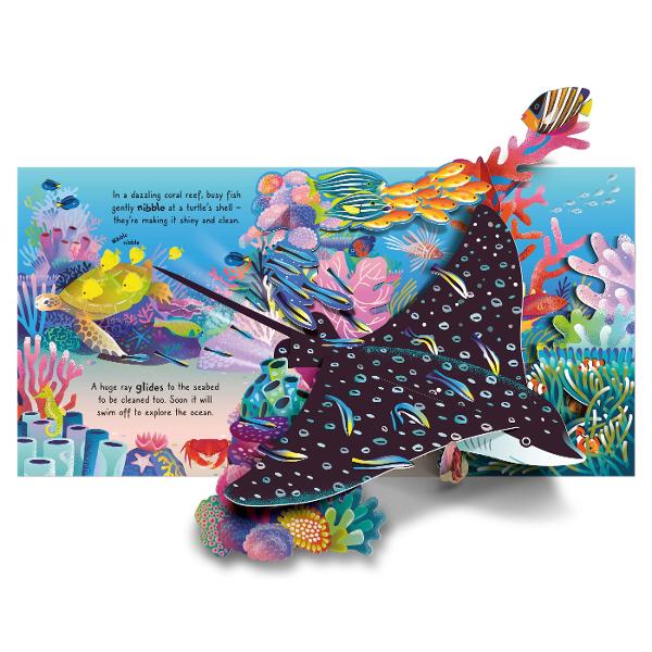 Meet a ray and a turtle gliding through a teeming coral reef spot an octopus hiding in the kelp forest and a shark dashing after a shoal of shimmering sardines Dare to explore the dark deep where a glowing anglerfish lurks before meeting a huge blue whale as it rises to the surface With five fantastic pop ups this book will take you on an awe-inspiring journey to the depths of the ocean and back again