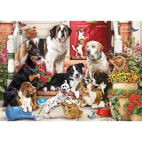 Seria Hidden Shapes este o doza dubla de distractie Rezolva puzzle-uri si descopera forme ascunse Jocul cainelui ascunde 10 forme unice care sunt vizibile doar dupa aranjarea puzzle-ului Distreaza-te si gaseste-le pe toate Dupa aranjare se va crea o poza cu dimensiunile de 683x480 mm Puzzle-urile sunt destinate adultilor sau copiilor cu varsta peste 14 aniUn puzzle de calitate trebuie sa fie relaxant si distractiv Aranjarea unui puzzle  este o modalitate deosebita de dezvoltare a 