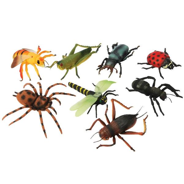 Insecta Gigantica Jucarie Senzoriala&nbsp; KeyCR20Pret per bucataNu se poate alege modelul