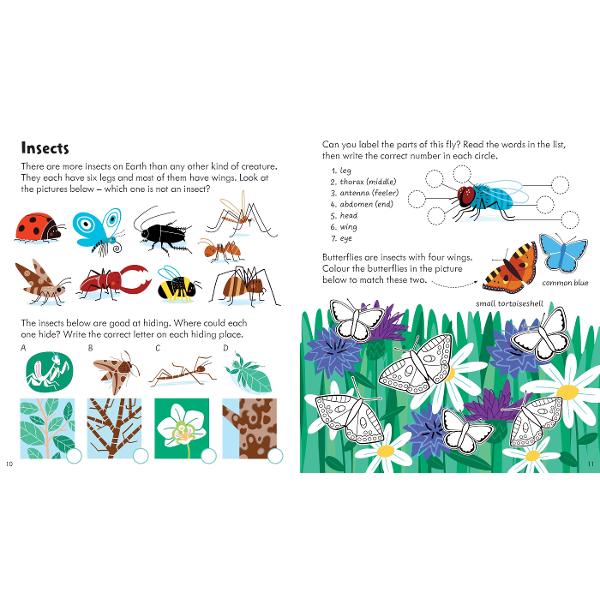 Follow the lines to work out which harvest mouse built the nest draw on top of leaves to turn them into funny pictures and do a big spot-the-difference puzzle to see the animals that are awake at night This write-in activity book will take you from seashores to wildlife meadows and introduce you to all kinds of animals and plants