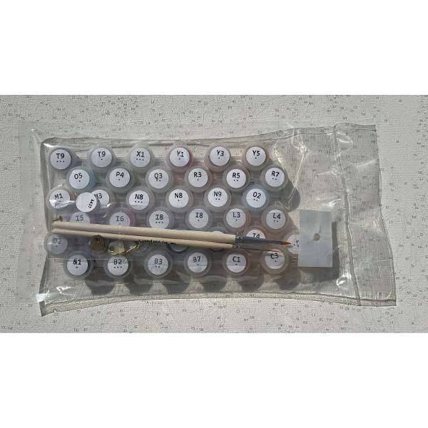 Tablou pe numere te poate scufunda partial in lumea fanteziilor tale si iti ofera posibilitatea de a patrunde mai mult in lumea artei de a petrece placut si productiv timpul liber De asemenea rezultatul muncii poate sa se transforme in decor pentru casa sau o ideie minunata de cadou&nbsp; &nbsp;Ce contine setul de pictura pe numereUn desen contur cu indicarea numarului culorii 4050cm Fiecare celula de contur a imaginii este numerotata si corespunde unei cutii 