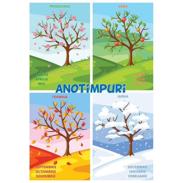 Puzzle pentru podea – Anotimpuri este destinat tuturor copiilor de la 3 la 6 aniCon&539;ine&8239;20 de piese cu cele 4 anotimpuri prim&259;vara vara toamna iarna Fiecare anotimp este ilustrat cu o imagine iar copiii pot înv&259;&539;a atât cele 4 anotimpuri cât &537;i lunile care fac parte din elePuzzle-ul de podea cu cele 4 anotimpuri creeaz&259; abilit&259;&539;i de înv&259;&539;are &537;i 