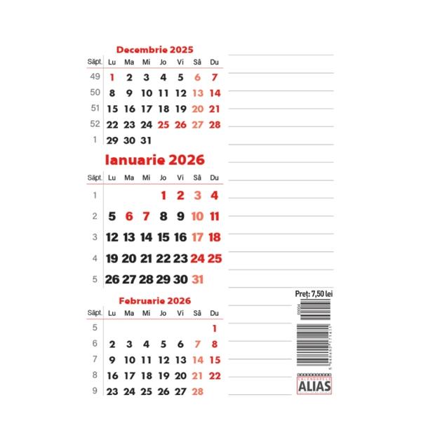 Calendar cu planner triptic format 105x15cm 13 file magnetic 