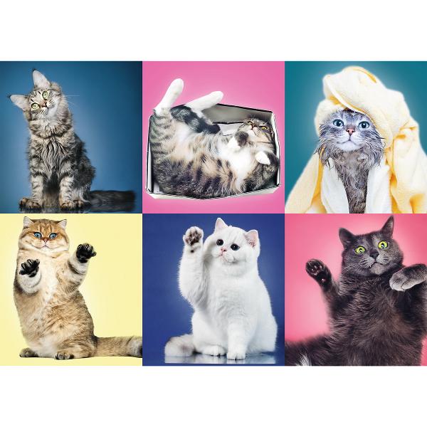Un puzzle de calitate trebuie sa fie relaxant si distractiv Aranjarea unui puzzle constituie atat pentru copii cat si pentru adulti este o modalitate deosebita de dezvoltare a indemanarii spiritului de observatie si a concentrarii Trefl este o companie poloneza cu sediul central in regiunea Pomorze Incepand din 1985 compania a inceput sa produca puzzle-uri dezvoltand ulterior si segmentul de carti de joc si jocuri de societate In prezent Trefl este lider in Polonia si plina expansiune in 